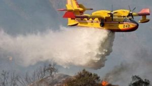 فرق مكافحة النيران تتمكن من تحويط حرائق غابوية بإقليم خنيفرة