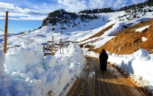 طقس الثلاثاء…امطار وصقيع وثلوج بعدة مناطق