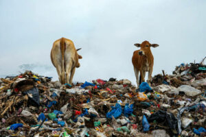 El Gara..Une ville qui vaut le détour… des autorités responsables.